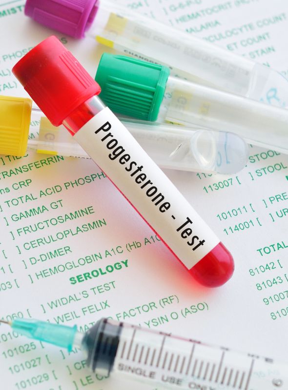 Progesterone test