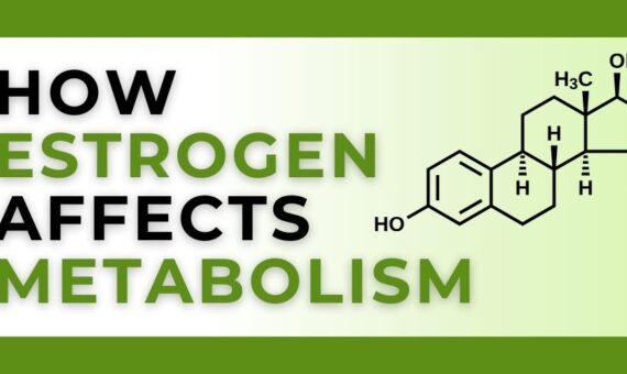 how estrogen affects your metabolism