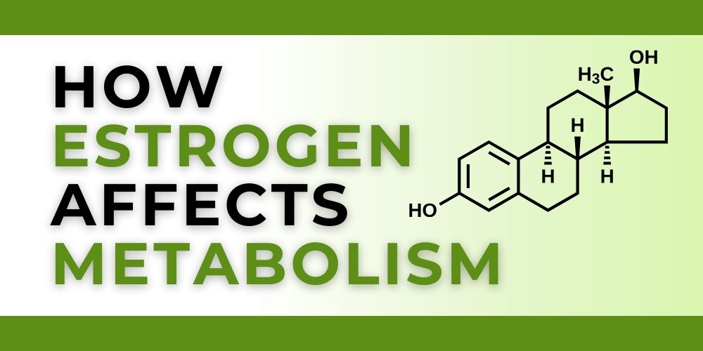 how estrogen affects your metabolism